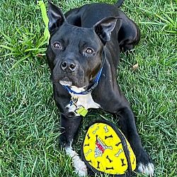 Thumbnail photo of Atlas #3