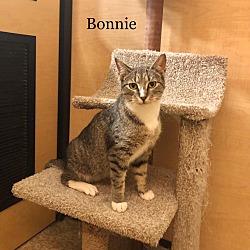 Thumbnail photo of Bonnie #3