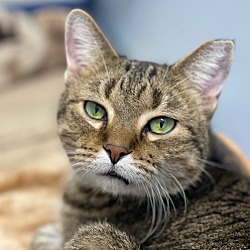 Photo of TODD