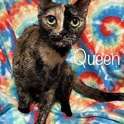 Photo of Queen