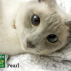 Thumbnail photo of Pearl #2