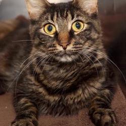 Photo of Wilma