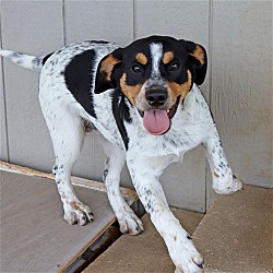 Photo of Nellie