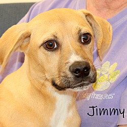 Thumbnail photo of Jimmy ~ meet me! #2