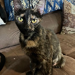 Photo of Maya