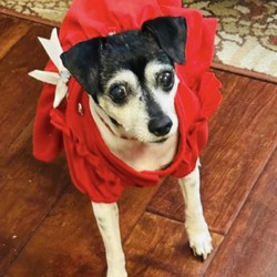 Photo of Trudy JB