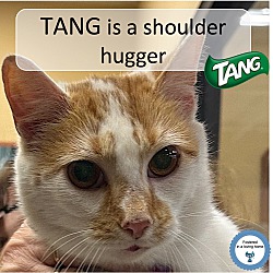 Photo of Tang