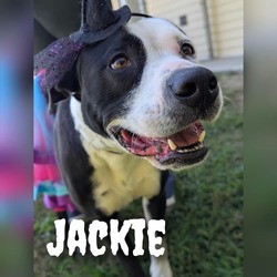 Thumbnail photo of Jackie #1