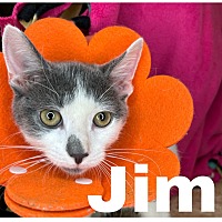 Photo of JIM
