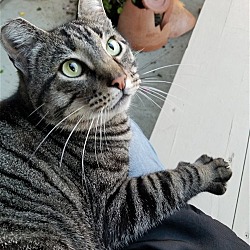 Photo of Munchie