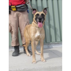 Photo of SAMMY