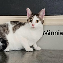 Thumbnail photo of Minnie #2