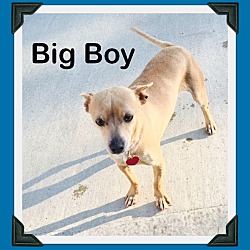 Thumbnail photo of Big Boy Chi #1