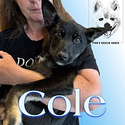 Thumbnail photo of Cole #2