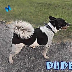 Thumbnail photo of Dude #4