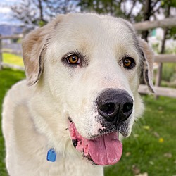 Photo of Bennie
