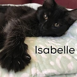 Thumbnail photo of Isabelle #3