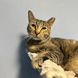 Photo of Ash