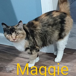 Photo of Maggie