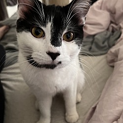 Photo of Moo