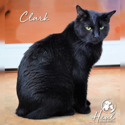 Thumbnail photo of Clark #2