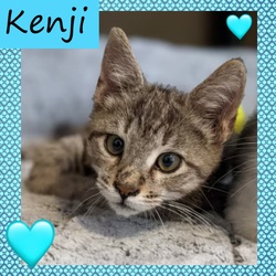 Photo of Kenji