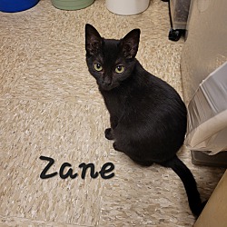 Photo of Zane