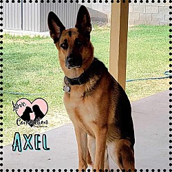 Photo of Axel