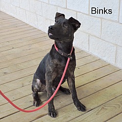 Thumbnail photo of Binks #4