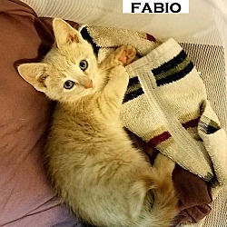 Thumbnail photo of Fabio #2