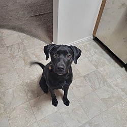 Photo of Apollo