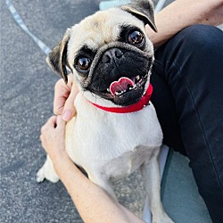 Photo of Matilda