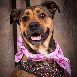 Photo of Riley
