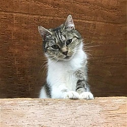 Photo of Brooke