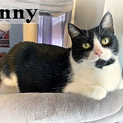 Thumbnail photo of Penny #4