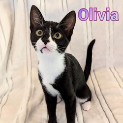 Thumbnail photo of Olivia #1