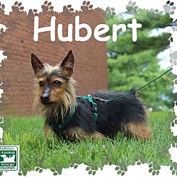 Thumbnail photo of Hubert #1