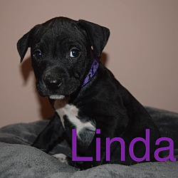 Photo of Linda