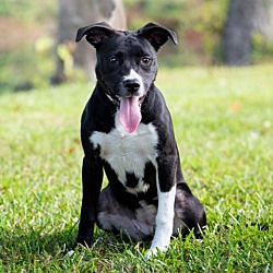 Photo of Princess
