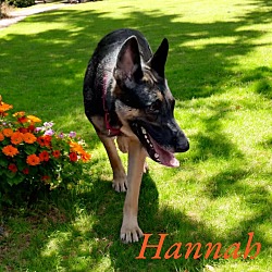 Thumbnail photo of Hannah II #3