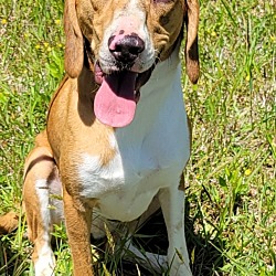 Photo of Rennie (Miss Cookie)