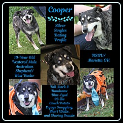 Thumbnail photo of Cooper (Neutered) #1