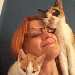 Thumbnail photo of Joy & her kitten-ADOPTED #1