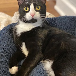 Thumbnail photo of Tom #2