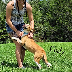 Thumbnail photo of Cody ~ meet me! #3
