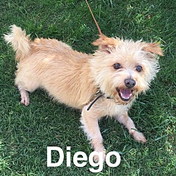 Photo of Diego