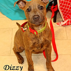 Thumbnail photo of Dizzy ~ meet me! #1