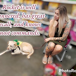 Thumbnail photo of Rocket #2