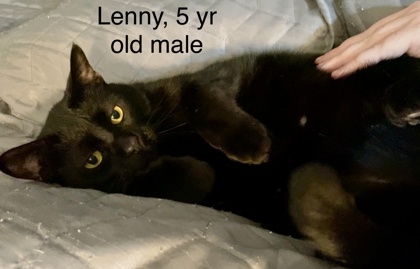 Photo of Lenny