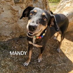 Thumbnail photo of Mandy #3